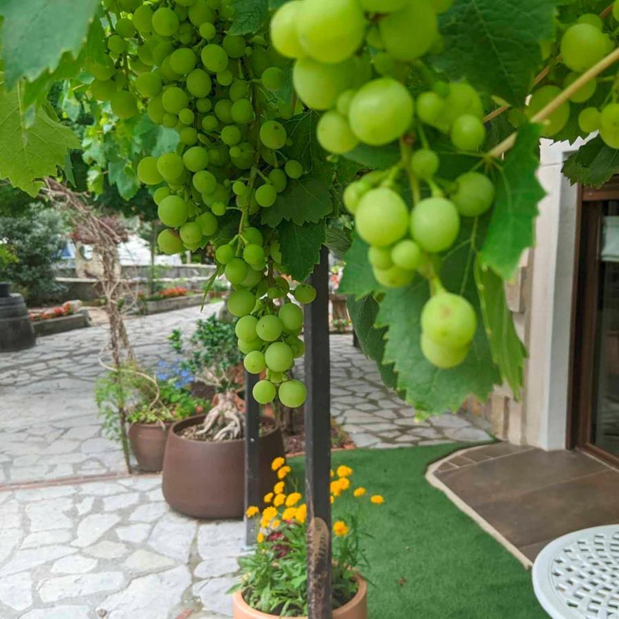 Casa Rural Bilbao Caserio Gondra Alquiler Habitaciones Мунгия Экстерьер фото